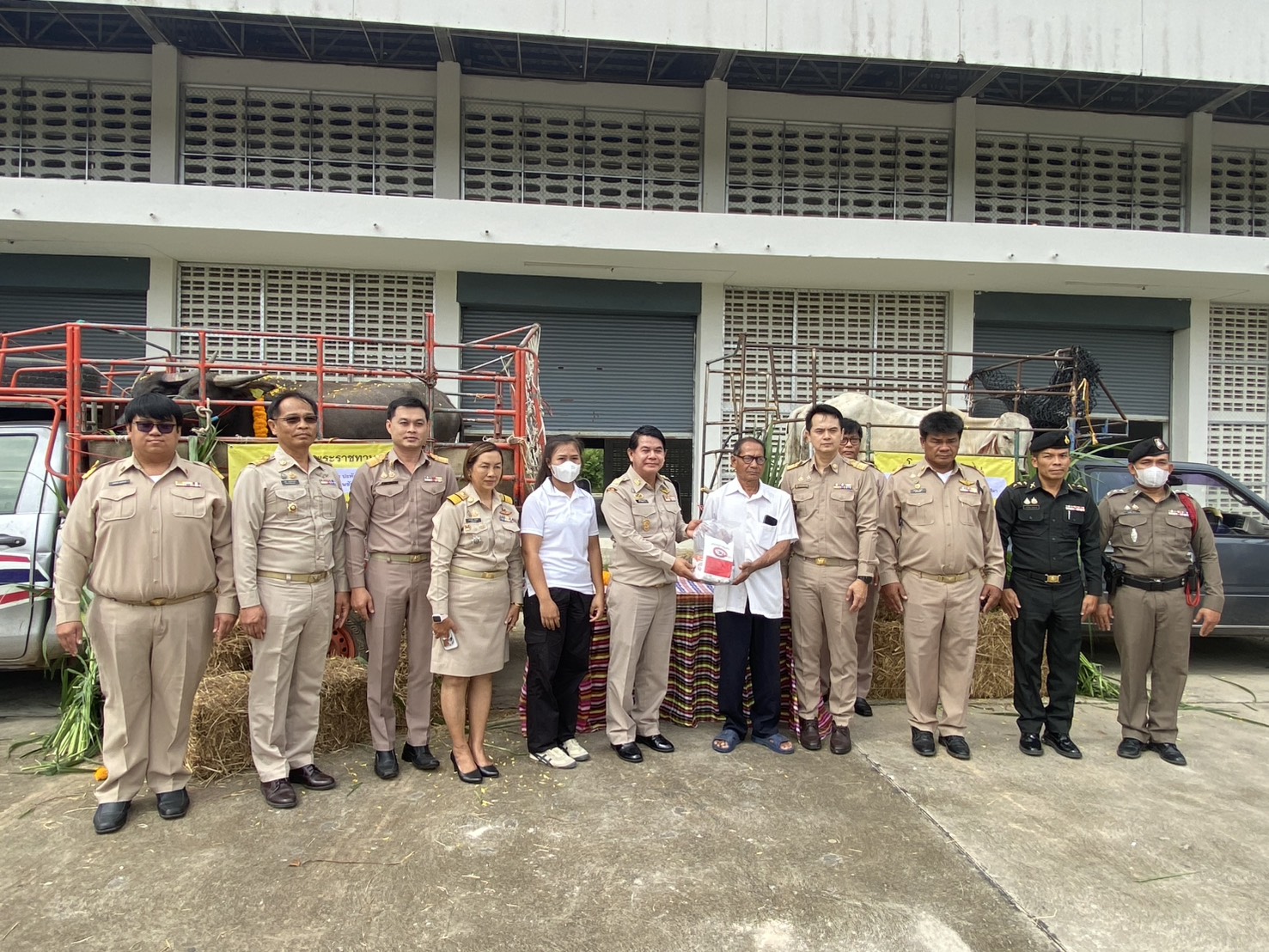  พช.ลำทะเมนชัย ร่วมพิธีมอบโค-กระบือพระราชทาน  