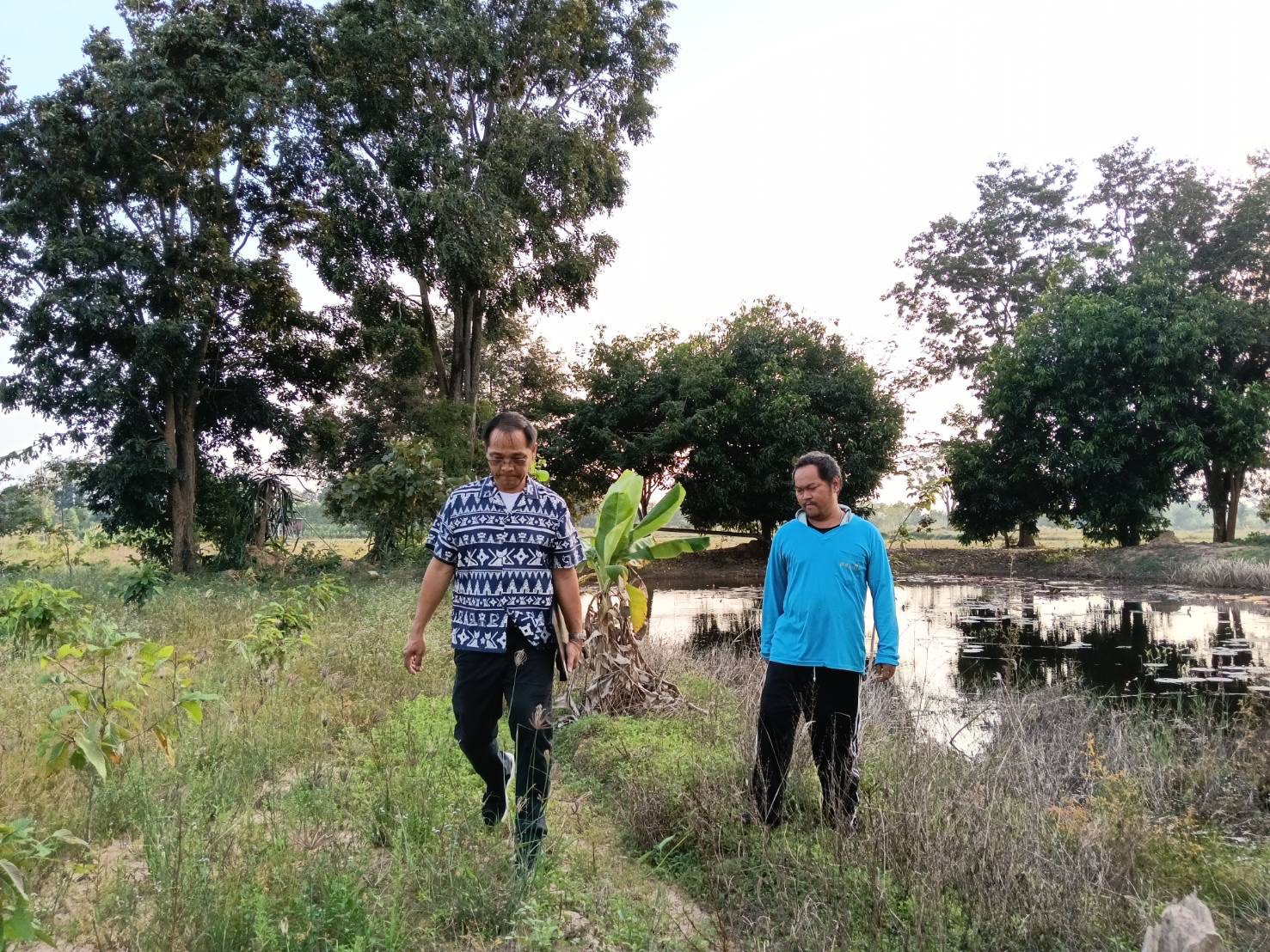  พช.ลำทะเมนชัย ลงพื้นที่ติดตามการดำเนินงานโครงการพัฒนาหมู่บ้านเศรษฐกิจพอเพียง กิจกรรมพัฒนาศูนย์เรียนรู้ทฤษฎีใหม่รูปแบบ"โคกหนอง นา พัฒนาชุมชน"